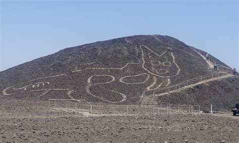 nazca lines cat